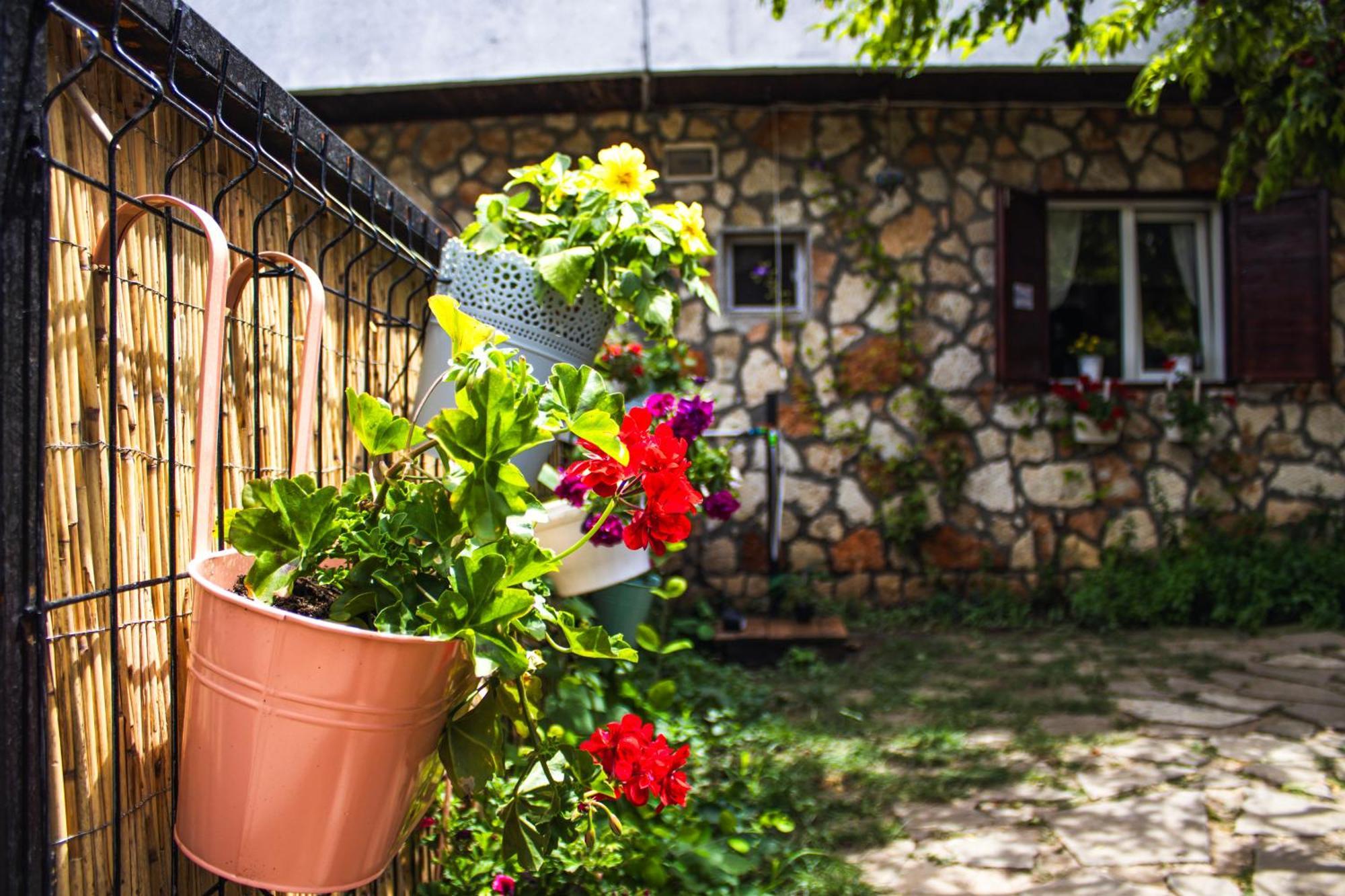 Bohemian Spirit, Vama Veche Apartment Ngoại thất bức ảnh